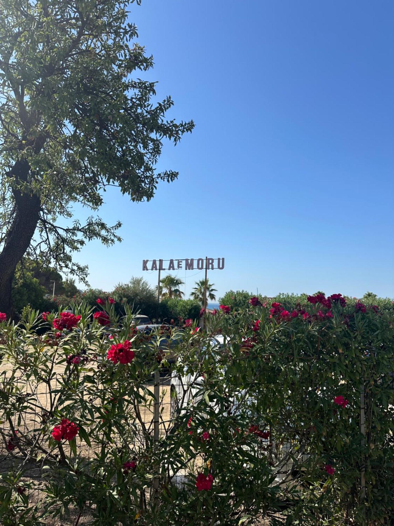 Splendida Villetta Kal'E Moru Marongiu Εξωτερικό φωτογραφία